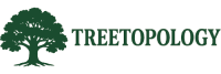 Treetopology LLC